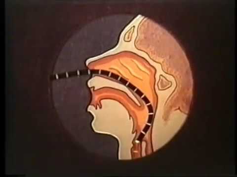 Видео: Фибробронхоскопия © Fibrobronchoscopy