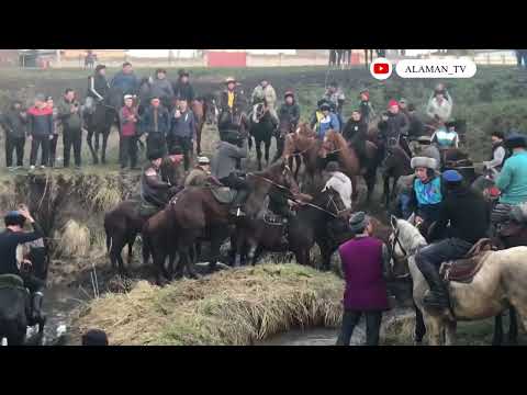 Видео: Жёсткий Аламан улак Малтабар айылында болду! 12 03 22