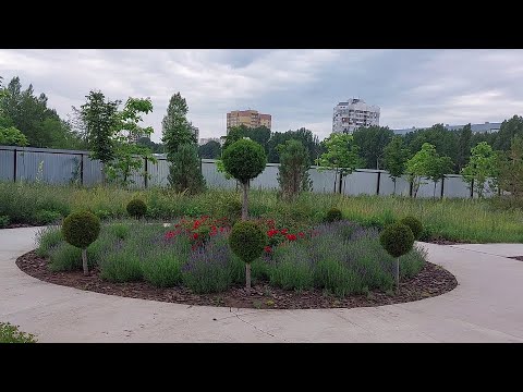 Видео: Дизайнерские решения в садовом мире ,,Подсолнух,,