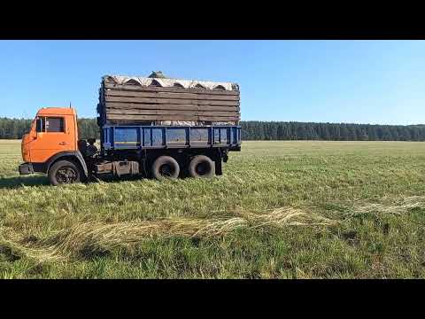 Видео: Заготовка сенажа 2025 УЭС 280, КСК 100, Камазы, Т 150к, РТМ 160, КСУ 1, К701, АГРОПОЛО
