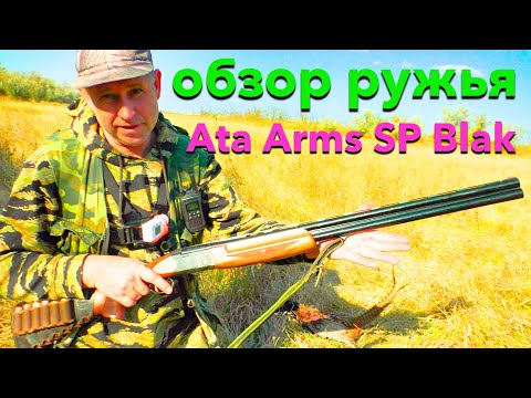 Видео: ОХОТА НА ФАЗАНА!!! Фазан наш!  Обзор ружья     Ata Arms SP Blak            на природе!