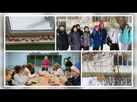 Видео: Классный час. ЭКОкормушки для птиц