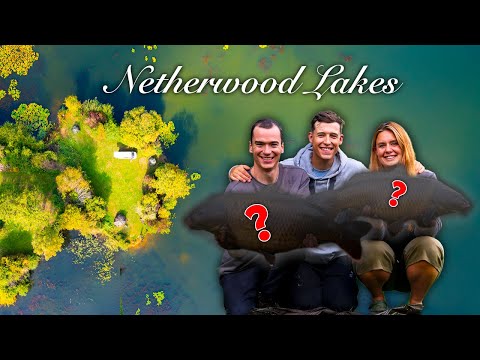 Видео: Возвращение к затерянному карповому озеру (10 лет нетронутости)