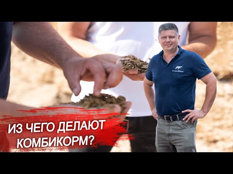 Видео: Что входит в состав комбикорма? Из чего производят корма для сельскохозяйственных животных?