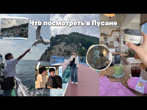 Видео: VLOG: ПУСАН ЧТО ПОСМОТРЕТЬ магазин пряжи в Пусане