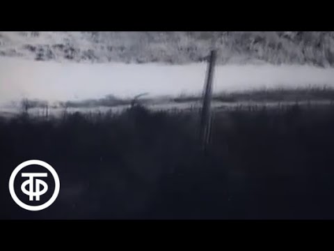 Видео: Стратегия победы. Фильм 5. Кавказский щит (1984)