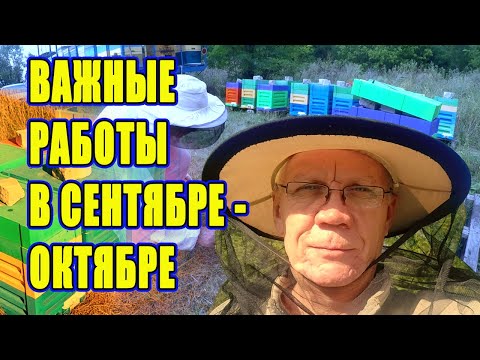 Видео: Работы на пасеке в сентябре и в октябре Слабые отводки в зиму