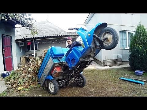 Видео: Муравей надежный помощник в хозяйстве