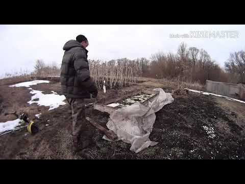 Видео: Тёплая грядка для рассады.
