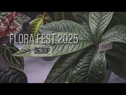 Видео: FLORA FEST🪴ОБЗОР ФЕСТИВАЛЯ ОСЕНЬ 2025!