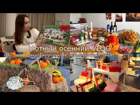 Видео: Уютный осенний влог✨🪔Покупки🛍️👗Проводим время с друзьями🎉☔