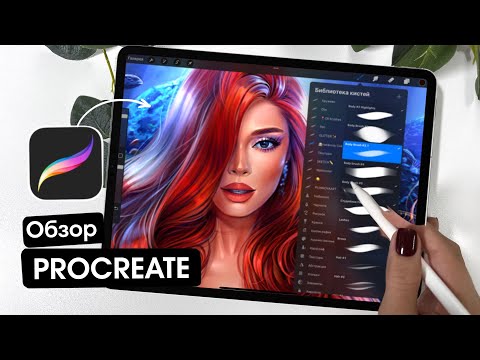 Видео: Обзор Procreate✍🏻полезные советы, интерфейс, функции, жесты