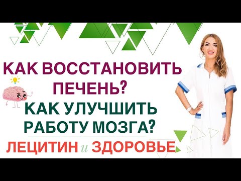 Видео: ❤️КАК ВОССТАНОВИТЬ ПЕЧЕНЬ❓КАК УЛУЧШИТЬ РАБОТУ МОЗГА❓ЛЕЦИТИН ПОМОЖЕТ Врач эндокринолог Ольга Павлова.