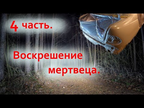 Видео: 27 августа 2024 г.