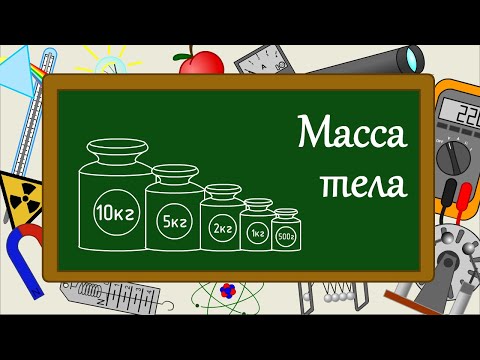Видео: Масса тела