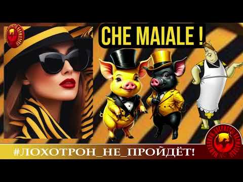 Видео: 🔥✅ИТАЛЬЯНКА И СКАЗОЧНАЯ СВИНОТА. (АВТОР - ФРЕКЕН БЯК). МОШЕННИКИ, АФЕРИСТЫ, СКАМ, РАЗВОД ПО ТЕЛЕФОНУ