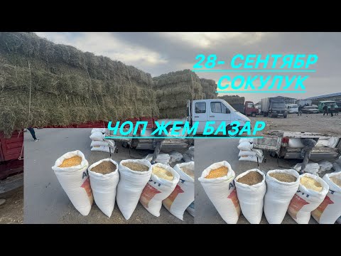 Видео: Жем чөп беде тоо чоп  арпа буудай жүгөрү Сокулук мал базары