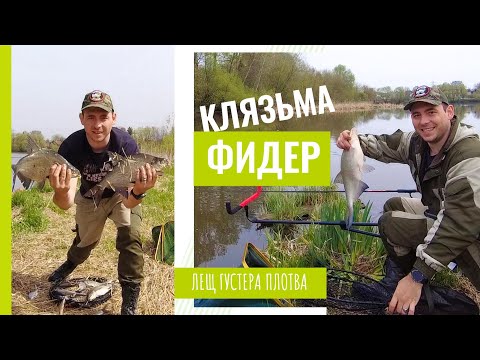 Видео: Рыбалка на Клязьме| Ловля леща на фидер весной| Лещ, густера, плотва на речке Клязьма|