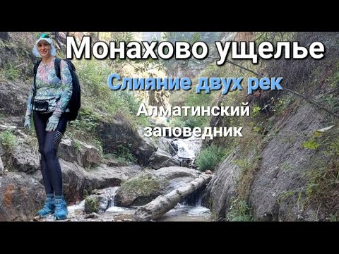 Видео: Монахово ущелье⛰️ Слияние Среднего Талгара и Правого Талгара. Алматинский заповедник.