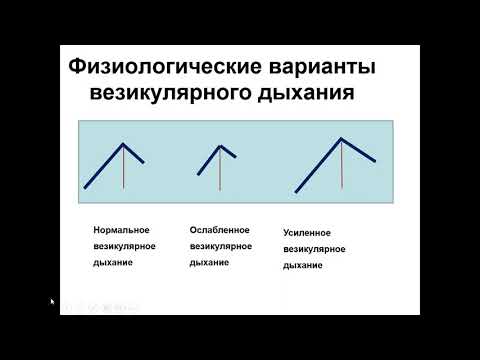 Видео: Аускультация легких и сердца