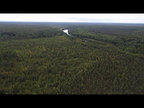 Видео: Северная река: тишина, вода и рыбацкая удача