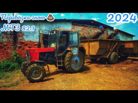 Видео: Перевозка гною 💩❗️ Трактором 🚜 МТЗ 82.1❗️2024❗️