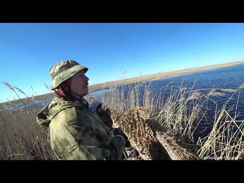 Видео: Поставили профиля и она пошла.Закрылись по утке в Сибири.