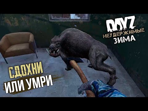 Видео: #15: Сдохни или Умри! | DayZ Неудержимые Зима | Райз в Дейз 2021