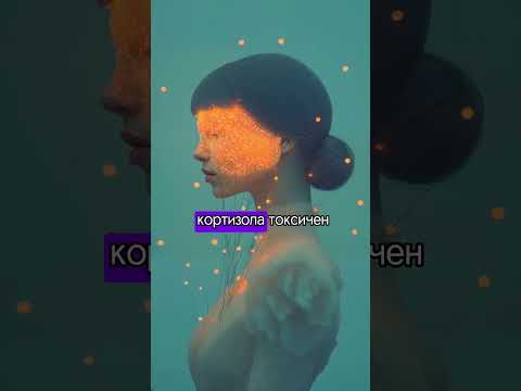 Видео: 🔬Нейронаука о мозге
