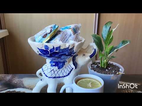 Видео: Спатифилум. Женское счастье. 23.09.2023.