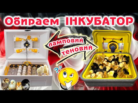 Видео: Готуємось до сезону‼️🐣Обираєм інкубатор Part: 2️⃣ Теновий чи ламповий ‼️✅♨️🚱🚷