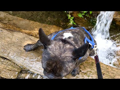 Видео: Олег провалился в ледяной ключ...