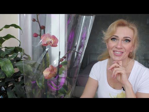 Видео: Без НОВИНОК не осталась! Но и купила, то что давно искала... БОЛЬШИЕ надежды...!