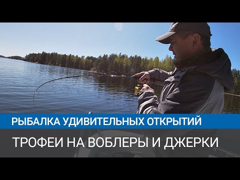 Видео: Трофейные щуки на окуневый воблер и закилошный окунь. Рыбалка в Финляндии