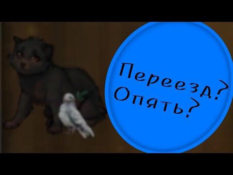 Видео: Удаляю перерождёнку? || ШРК? || CatWar [Ч.О.]