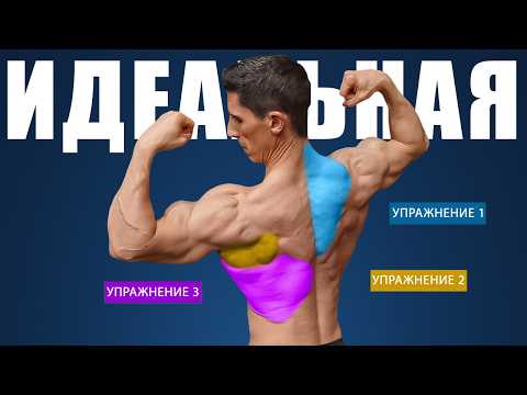 Видео: Идеальная Тренировка Мышц Спины 2025 - По Науке