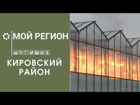 Видео: Мой регион — Кировский район / 28.02.24