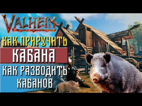 Видео: Valheim Как приручить кабана ► Разведение кабанов(valheim гайд)