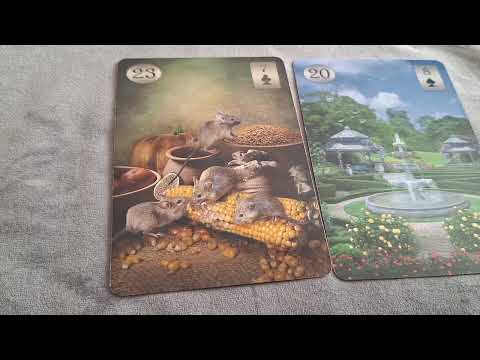 Видео: ЛЕНОРМАН.‼️ Опасные дуады‼️сочетания карт кризисных, опасных, смертельных и т.д