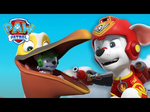 Видео: Маршал не може да спре да разсмива този пеликан - PAW Patrol Bulgarian - карикатури за деца