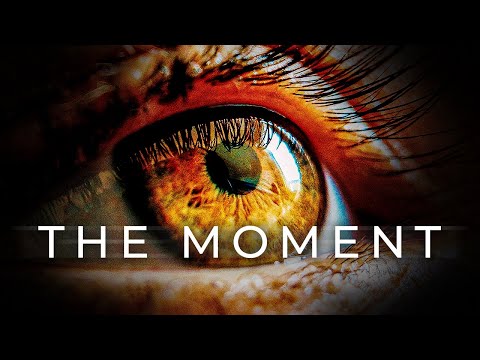 Видео: У вас побегут мурашки по коже — Алан Уоттс о вечном настоящем