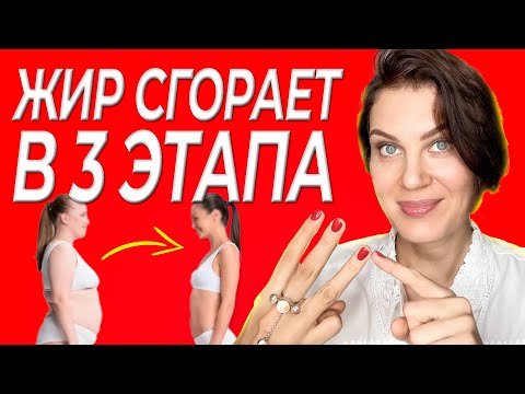 Видео: Как Быстро Похудеть Без Диет и Спорта / 3 Эффективных Способа Сбросить Лишний Вес