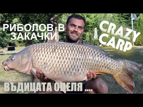 Видео: Екстремен риболов на шаран на язовир Палици /Extreme carp fishing at Palitsi lake#carpfishing