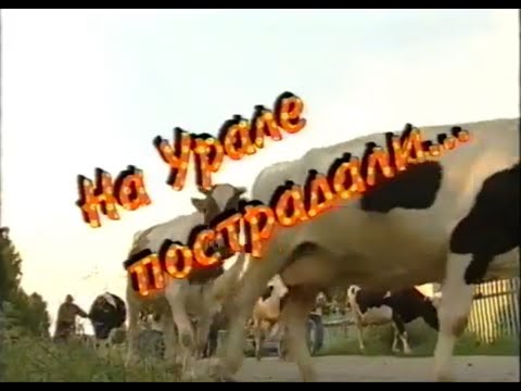 Видео: Играй, гармонь! | На Урале пострадали...  ©1999