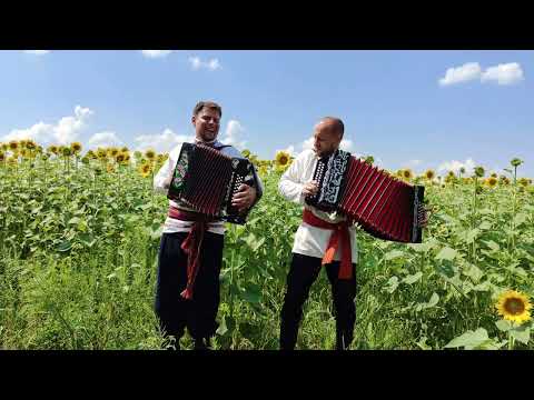 Видео: Дуэт гармонистов Михаил и Михаил - Деревня моя