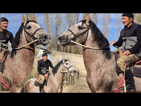 Видео: Океан Папанда Дыйканда🔥