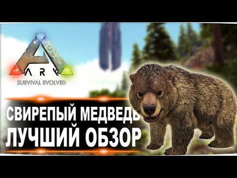 Видео: Свирепый медведь (Direbear) в АРК. Лучший обзор: приручение, разведение и способности медведей в ark