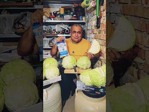 Видео: Как се прави кисело зеле?