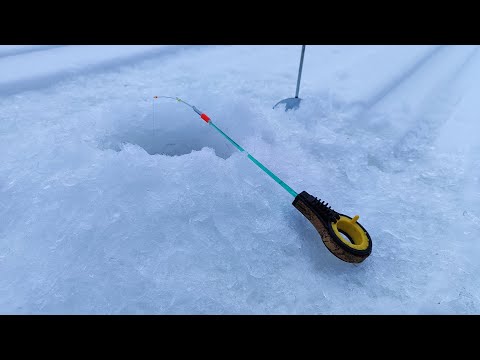 Видео: ЗА 30 МИНУТ НАЛОВИЛ В ГЛУХОЗИМЬЕ. Зимняя Рыбалка 2024