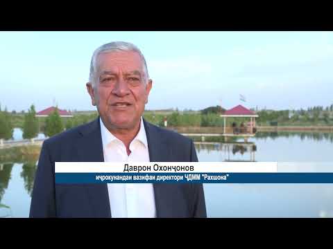 Видео: Хавзи мохипарвари